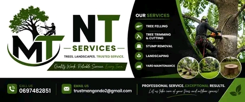 MNT Services tree care, landscaping and yard maintenance